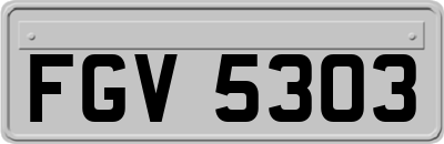 FGV5303