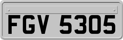 FGV5305