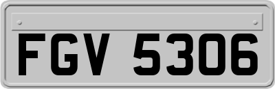 FGV5306