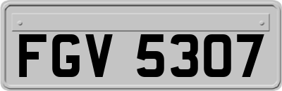FGV5307