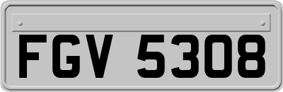 FGV5308