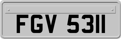 FGV5311