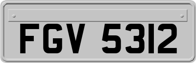 FGV5312