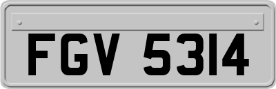 FGV5314