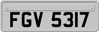 FGV5317