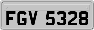 FGV5328