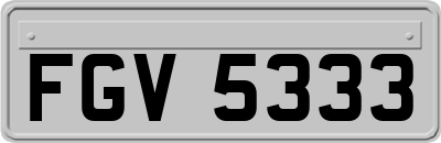 FGV5333