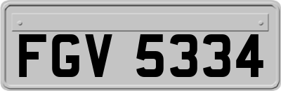 FGV5334