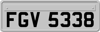 FGV5338