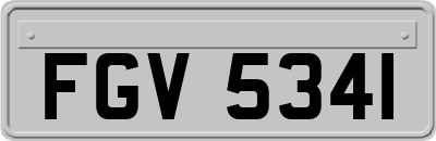 FGV5341