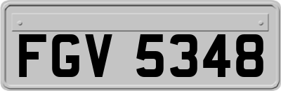 FGV5348