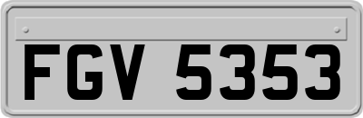 FGV5353