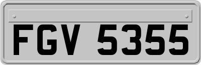 FGV5355