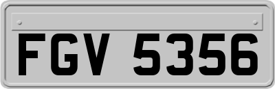 FGV5356