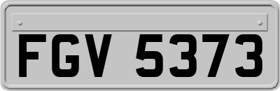FGV5373