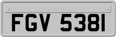 FGV5381