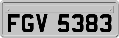 FGV5383