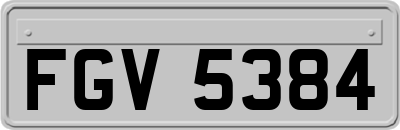 FGV5384