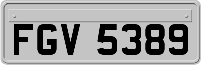 FGV5389