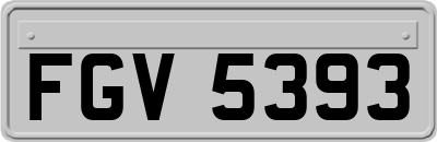 FGV5393