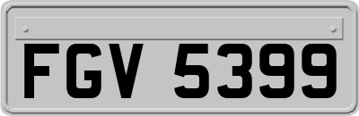 FGV5399