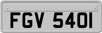 FGV5401