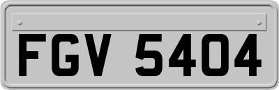 FGV5404