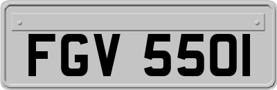 FGV5501