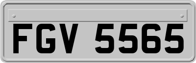 FGV5565