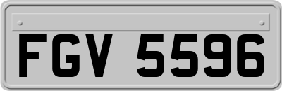 FGV5596