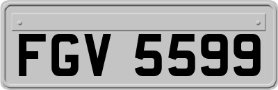 FGV5599