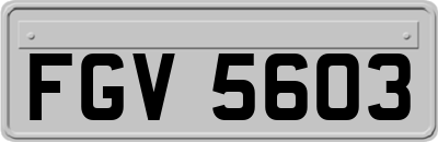 FGV5603