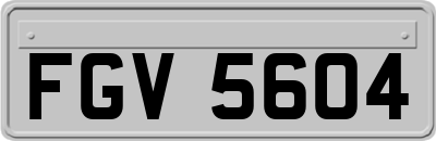 FGV5604