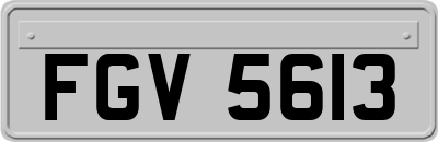 FGV5613