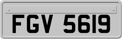 FGV5619