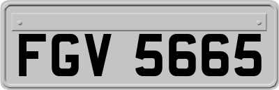 FGV5665