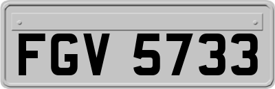 FGV5733