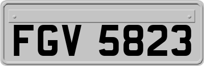FGV5823