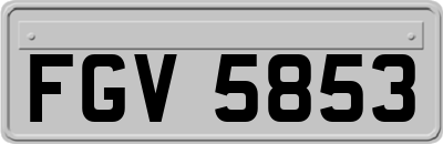 FGV5853