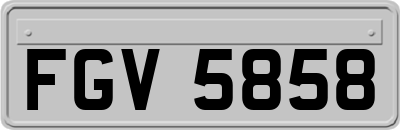 FGV5858