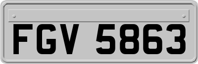 FGV5863