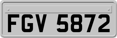 FGV5872