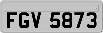 FGV5873