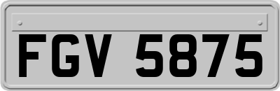 FGV5875