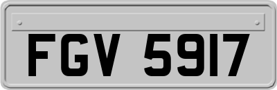 FGV5917