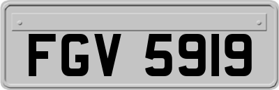 FGV5919