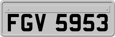 FGV5953
