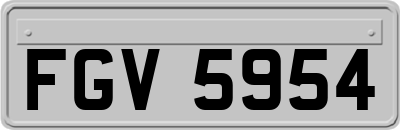 FGV5954