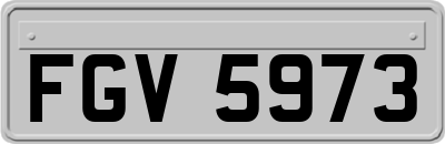 FGV5973
