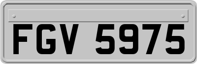 FGV5975